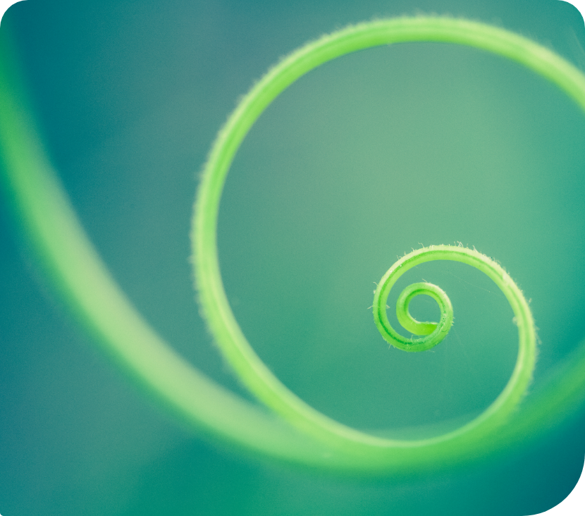 A vibrant green spiral displayed in the backdrop.